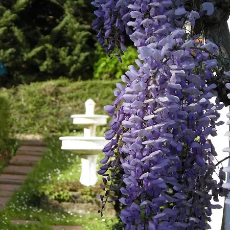 D'hotes Haitz Ondo Bed & Breakfast
