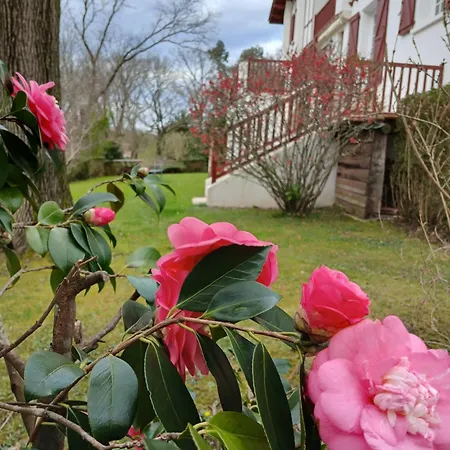 D'hotes Haitz Ondo Bed & Breakfast 3*