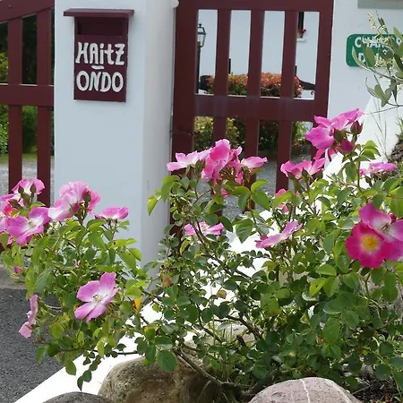 فندق مبيت وإفطار D'hotes Haitz Ondo