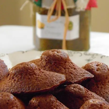 Bed & Breakfast D'hotes Haitz Ondo Hasparren