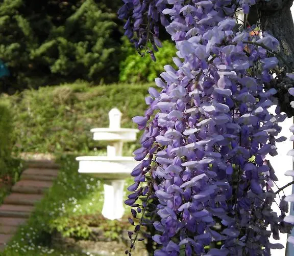 D'hotes Haitz Ondo Bed & Breakfast